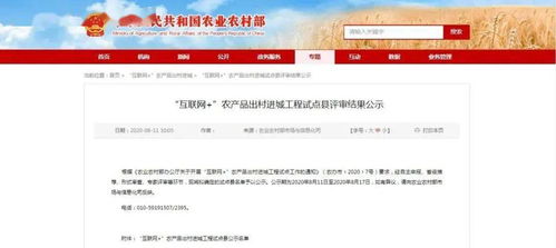 全市唯一！金鄉縣擬入選互聯網+農產品出村進城工程試點縣，新沂探索互聯網游戲服務發展